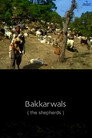 the shepherds