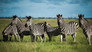 Grasslands