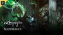 Mandrakes