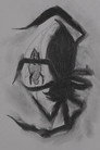 Consumed