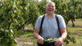 Kent and Cambridgeshire - Apples and Beetroot