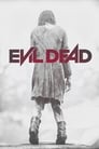 🕊.#.Evil Dead Film Streaming Vf 2013 En Complet 🕊