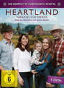Staffel 15