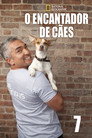 Temporada 7