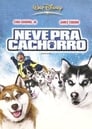 Neve pra Cachorro