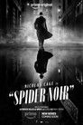 Spider-Noir