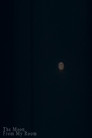 The Moon from My Room