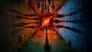 2016 - Stranger Things thumb