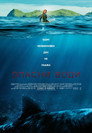 Опасни води Цял филм BG (2016)
