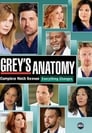 Grey's Anatomy - seizoen 9