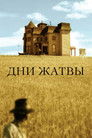 Постер: Days of Heaven