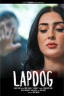 Lapdog