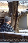 Snow on a Park Bench