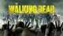 2010 - The Walking Dead thumb