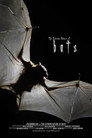 Bats