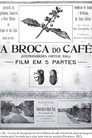 A Broca do Café