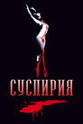 Постер: Suspiria
