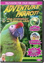 Adventure Parrot!