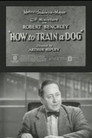 How to Train a Dog