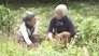 Through the Kitchen Window: Akemi and Satsuki - Shojin Ryori, Buddhist Cuisine
