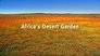 Africa's Desert Garden