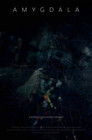 Amygdala