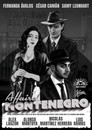 The Montenegro Affair