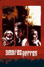 Amores Perros