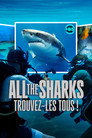 All the Sharks : Trouvez-les tous !