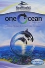 One Ocean at Sea World