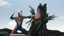 The Tree of Jagira