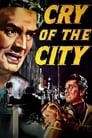 Movie poster for Cry of the City (1948)