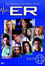 Staffel 13