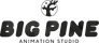 Big Pine Animation Studio