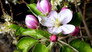 Spring Tales