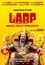 LARP. Dashuria, trollat dhe questet e tjera