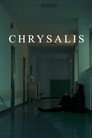 Chrysalis
