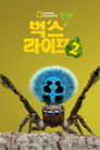 시즌 2
