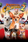 Perdido pra Cachorro 2