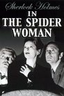 2-Sherlock holmes et la femme aux araignées