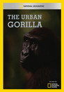 The Urban Gorilla