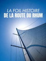 La foil histoire de la Route du Rhum