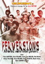 Perversions