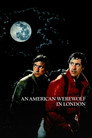 An American Werewolf in London