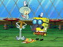 Squiditis