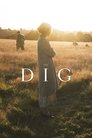 The Dig / გათხრები