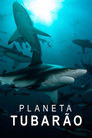 Planeta Tubarão