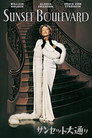 サンセット大通り