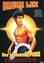 Image of Bruce Lee