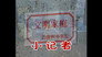 Episode 223